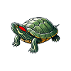 Turtle Red-eared Turtle