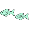 fish2