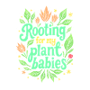 ENRACINEMENT DE MES BÉBÉS PLANTES
