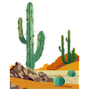 Cactus dans le désert