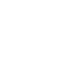 Year 2010