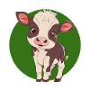 Cow Cattle