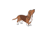 Cadeaux Basset Hound