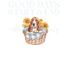 Basset Hound Gifts