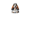 Basset Hound Gifts