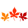 feuilles