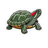 Turtle Red-eared Turtle