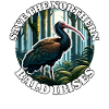 Northern Bald Ibis