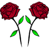 roses