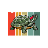 Turtle Red-eared Turtle