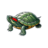 Turtle Red-eared Turtle