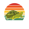 Turtle Red-eared Turtle