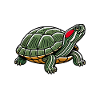 Turtle Red-eared Turtle