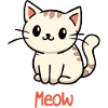 Meow Cat
