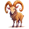 Capricorn