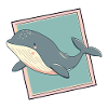 Marine Life Marine Animal Fin
