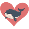 Whale Sea Creature Marine Life