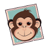 Affe Affengesicht Zootier