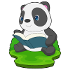 Panda Book