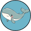 Whale Under Water Sea Creature