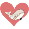 Whale Sea Creature