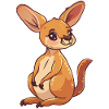 Kaengaroo Aussie Sydney