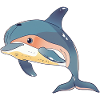 Dolphin Dolphins Sea Creatures