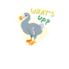 Dodo Whats's up?