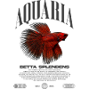 Betta Fish Keeper Modern Streetwear