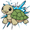 Turtle Turtles Tortuga
