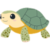 Turtle Reptile