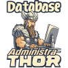 Viking Databaseadministra-thor Nerdy
