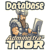 Viking Databaseadministra-thor Nerdy