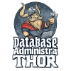 Viking Databaseadministra-thor Nerdy