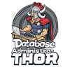 Viking Databaseadministra-thor Nerdy