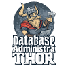 Viking Databaseadministra-thor Nerdy