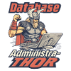 Viking Databaseadministra-thor Nerdy