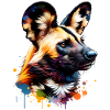 aAfrican wild dog