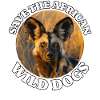painted hunting dog