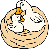 Gans