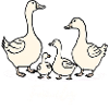Gans
