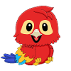 Parrot Red Macaw