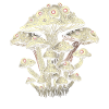 Weirdcore Aesthetics Mushroom Eyeballs Strangecore Grung