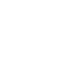 Fashion Shoe Collector