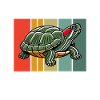 Turtle Red-eared Turtle