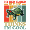 Turtle Red-eared Turtle