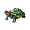 Turtle Red-eared Turtle