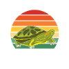 Turtle Red-eared Turtle