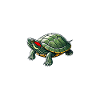 Turtle Red-eared Turtle