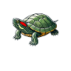 Turtle Red-eared Turtle